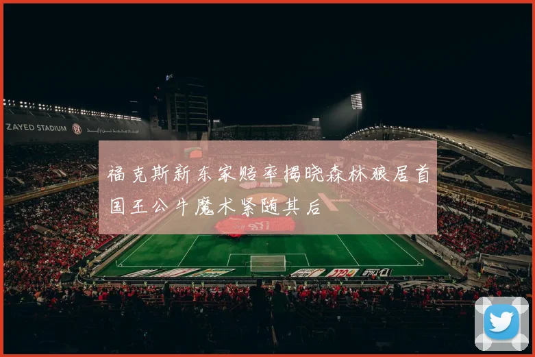 福克斯新东家赔率揭晓森林狼居首国王公牛魔术紧随其后